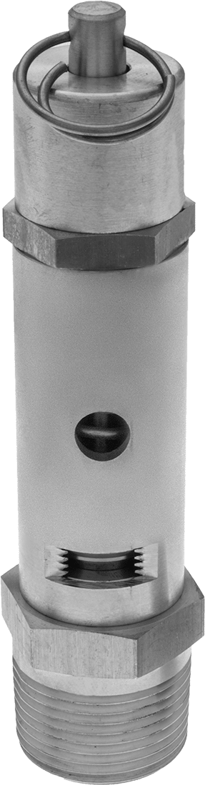 Valve With Test Ring