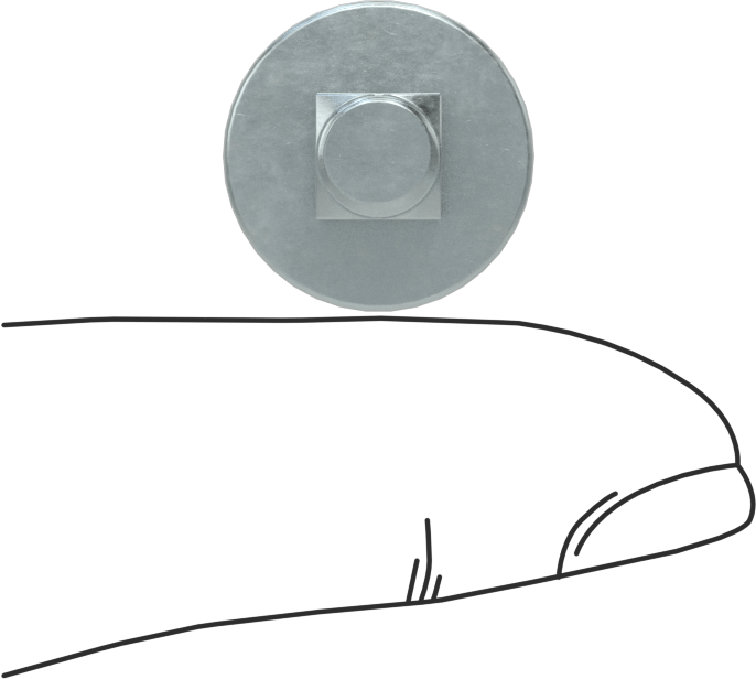 Çelik Kare Boyunlu Taşıma Cıvataları, Orta Mukavemetli, Çinko Kaplama, M6 x 1 mm Diş, 12 mm Uzunluk