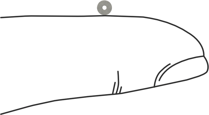 18-8 Paslanmaz Çelik Şimler, 1/32" ID x 7/64" OD, 0,002" Kalınlık