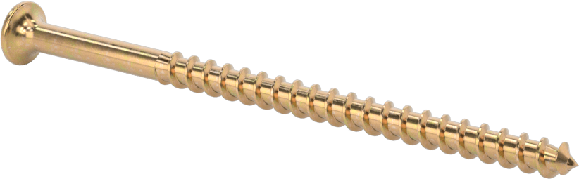 Ahşap için Alçıpan Vidası, Çinko Sarı Kromat Kaplı Çelik, 10 Numaralı Boyut, 3-1/2" Uzunluk