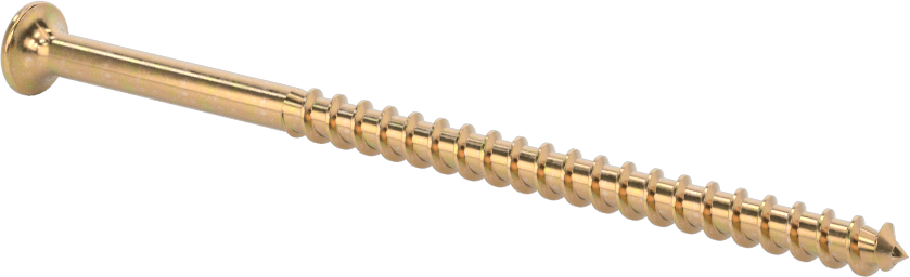 Ahşap için Alçıpan Vidası, Çinko Sarı Kromat Kaplı Çelik, 10 Numaralı Boyut, 3-3/4" Uzunluk