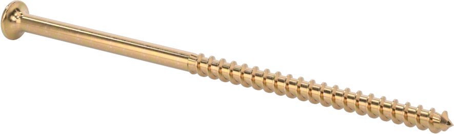 Ahşap için Alçıpan Vidası, Çinko Sarı Kromat Kaplı Çelik, 10 Numaralı Boyut, 4-1/2" Uzunluk