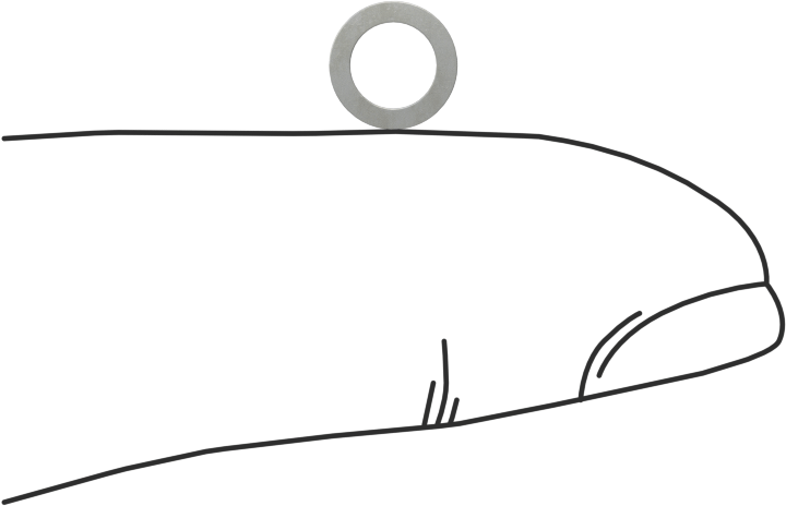 Kalıplar için Şimler, Yay Çeliği, 1/4" OD, 0,032" Kalın