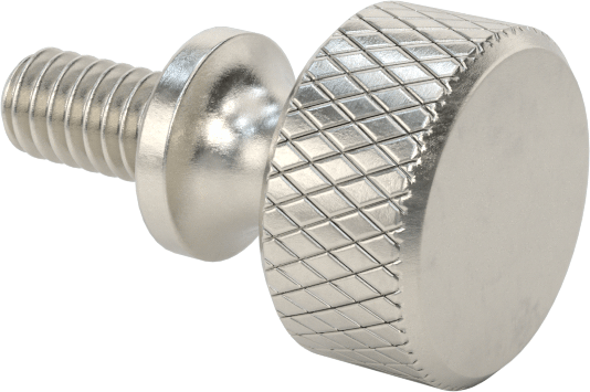 Paslanmaz Çelik Genişletilmiş Yaka Tırtıllı Başlı Ayar Vidası, M2 x 0,40 mm Diş Boyutu, 4 mm Uzunluk