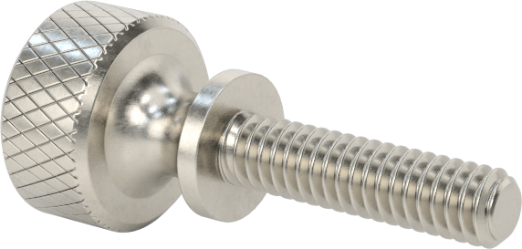 Paslanmaz Çelik Genişletilmiş Yaka Tırtıllı Başlı Ayar Vidası, M2 x 0,40 mm Diş Boyutu, 8 mm Uzunluk
