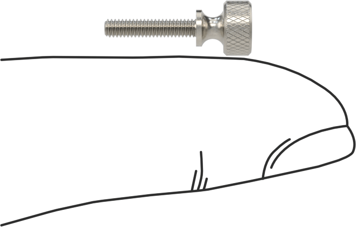 Paslanmaz Çelik Genişletilmiş Yaka Tırtıllı Başlı Ayar Vidası, M2 x 0,40 mm Diş Boyutu, 10 mm Uzunluk