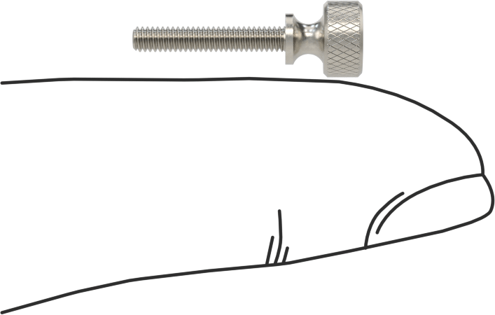 Paslanmaz Çelik Genişletilmiş Yaka Tırtıllı Başlı Ayar Vidası, M2 x 0,40 mm Diş Boyutu, 12 mm Uzunluk