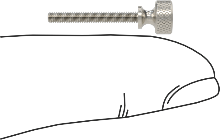 Paslanmaz Çelik Genişletilmiş Yaka Tırtıllı Başlı Ayar Vidası, M2 x 0,40 mm Diş Boyutu, 16 mm Uzunluk