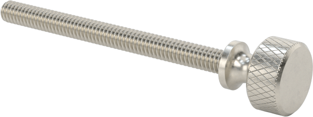 Paslanmaz Çelik Genişletilmiş Yaka Tırtıllı Başlı Ayar Vidası, M2 x 0,40 mm Diş Boyutu, 24 mm Uzunluk
