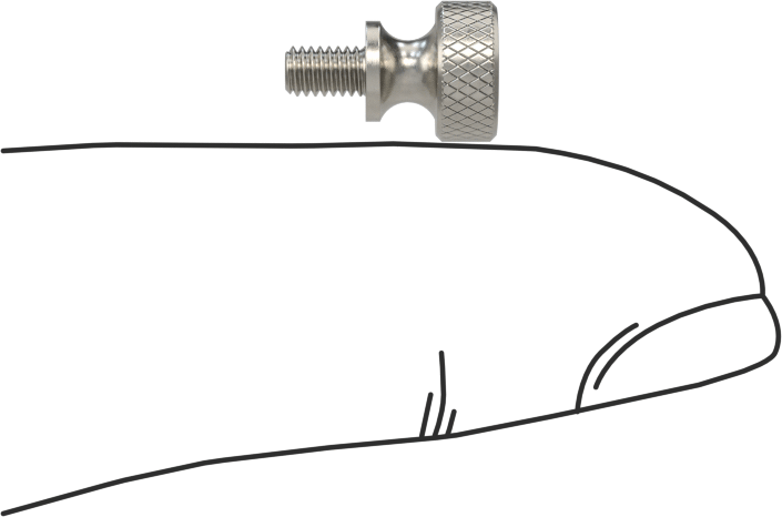 Paslanmaz Çelik Genişletilmiş Yaka Tırtıllı Başlı Ayar Vidası, M2,5 x 0,45 mm Diş Boyutu, 4 mm Uzunluk