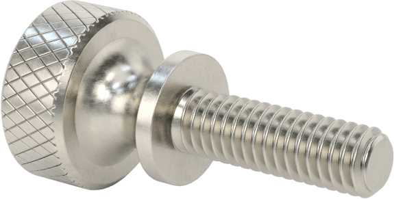 Paslanmaz Çelik Genişletilmiş Yaka Tırtıllı Başlı Ayar Vidası, M2,5 x 0,45 mm Diş Boyutu, 8 mm Uzunluk