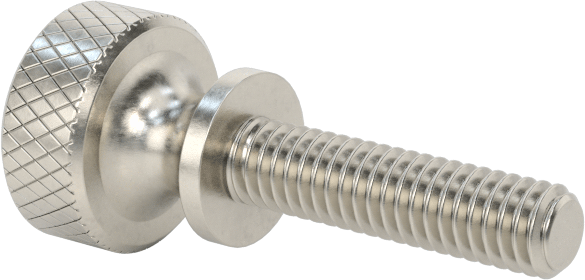 Paslanmaz Çelik Genişletilmiş Yaka Tırtıllı Başlı Ayar Vidası, M2,5 x 0,45 mm Diş Boyutu, 10 mm Uzunluk