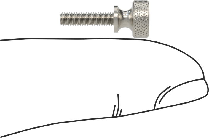 Paslanmaz Çelik Genişletilmiş Yaka Tırtıllı Başlı Ayar Vidası, M2,5 x 0,45 mm Diş Boyutu, 10 mm Uzunluk