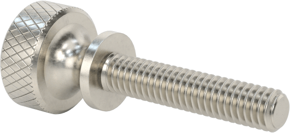 Paslanmaz Çelik Genişletilmiş Yaka Tırtıllı Başlı Ayar Vidası, M2,5 x 0,45 mm Diş Boyutu, 12 mm Uzunluk