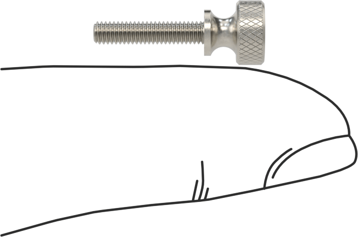 Paslanmaz Çelik Genişletilmiş Yaka Tırtıllı Başlı Ayar Vidası, M2,5 x 0,45 mm Diş Boyutu, 12 mm Uzunluk