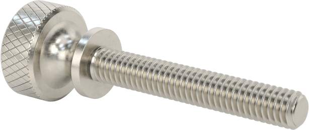 Paslanmaz Çelik Genişletilmiş Yaka Tırtıllı Başlı Ayar Vidası, M2,5 x 0,45 mm Diş Boyutu, 16 mm Uzunluk