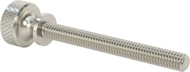 Paslanmaz Çelik Genişletilmiş Yaka Tırtıllı Başlı Ayar Vidası, M2,5 x 0,45 mm Diş Boyutu, 24 mm Uzunluk