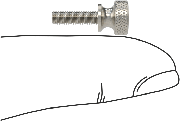 Paslanmaz Çelik Genişletilmiş Yaka Tırtıllı Başlı Ayar Vidası, M3 x 0,50 mm Dişli Boyutu, 10 mm Uzunluk