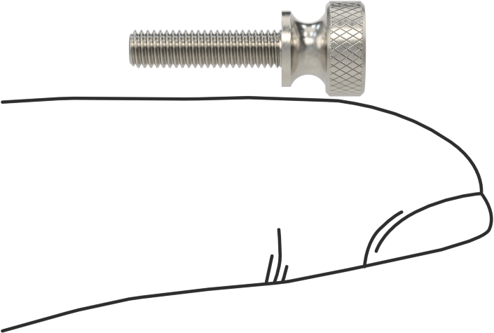 Paslanmaz Çelik Genişletilmiş Yaka Tırtıllı Başlı Ayar Vidası, M3 x 0,50 mm Dişli Boyutu, 12 mm Uzunluk
