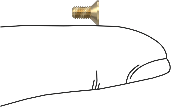 Pirinç Phillips Düz Başlı Vidalar, M3 x 0,5 mm Diş Boyutu, 6 mm Uzunluk