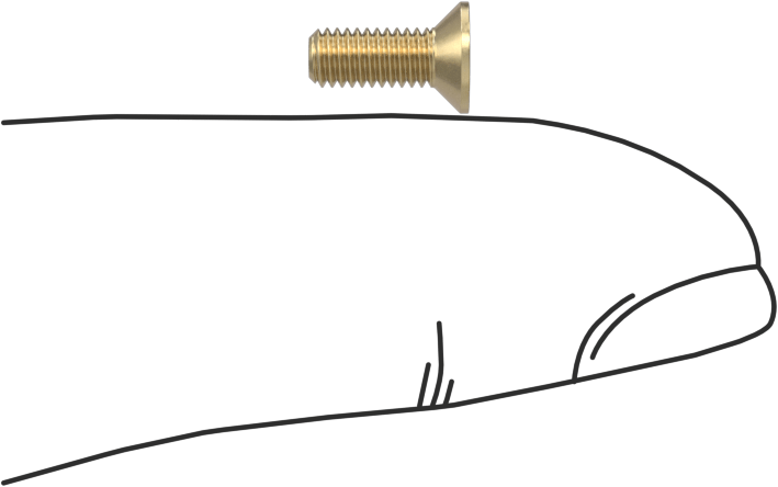 Pirinç Phillips Düz Başlı Vidalar, M3 x 0,5 mm Diş Boyutu, 8 mm Uzunluk