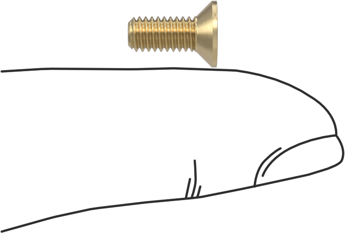 Pirinç Phillips Düz Başlı Vidalar, M4 x 0,7 mm Diş Boyutu, 10 mm Uzunluk