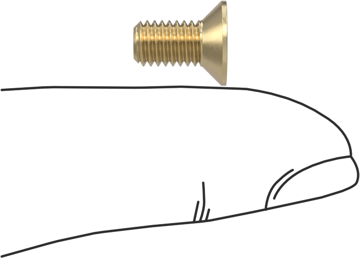 Pirinç Phillips Düz Başlı Vidalar, M5 x 0,8 mm Diş Boyutu, 10 mm Uzunluk