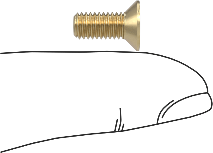 Pirinç Phillips Düz Başlı Vidalar, M5 x 0,8 mm Diş Boyutu, 12 mm Uzunluk