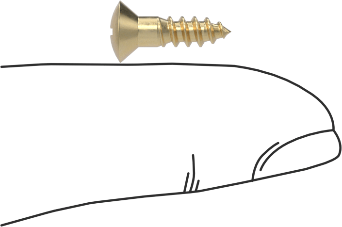 Ahşap için Phillips Oval Başlı Vidalar, Pirinç, Numara 6 Boyut, 1/2" Uzunluk
