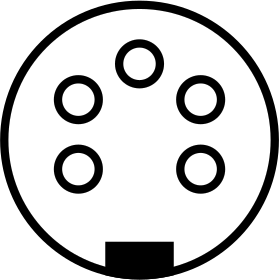 5 Poles, Female