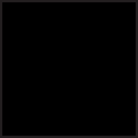 Opaque Black