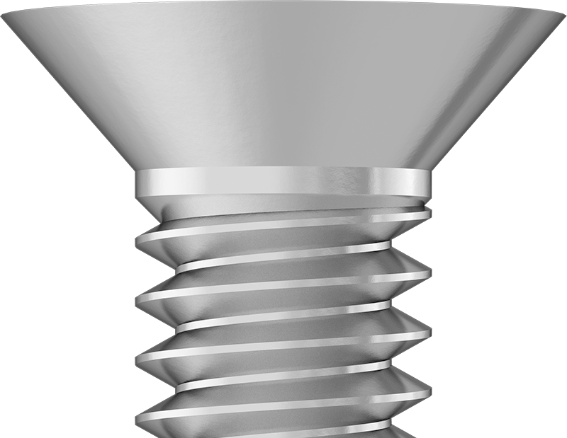 Standard Flat Head
